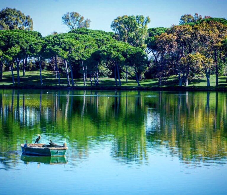 A solo 5 minuti dall’Oasi di Porto a Fiumicino: un tesoro di natura e storia